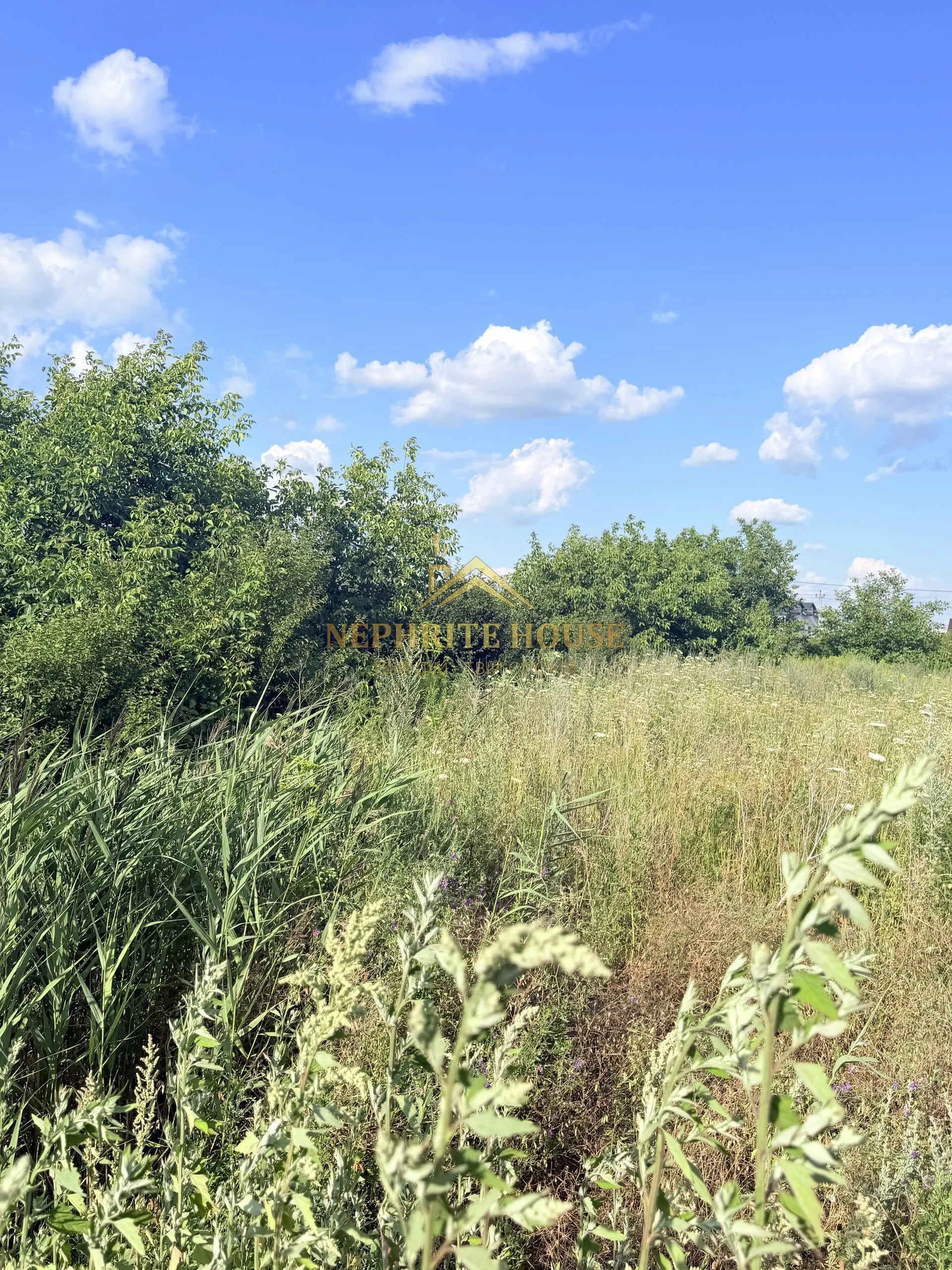 Мініатюра 7