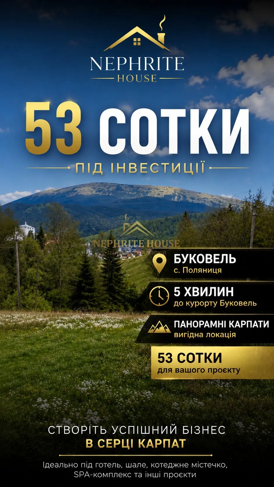 Купити 53 сотки в географічному центрі Поляниці | 5 хвилин до Буковеля | Ідеально під готель або котеджне містечко в Житомирі — нерухомість Nephrite House