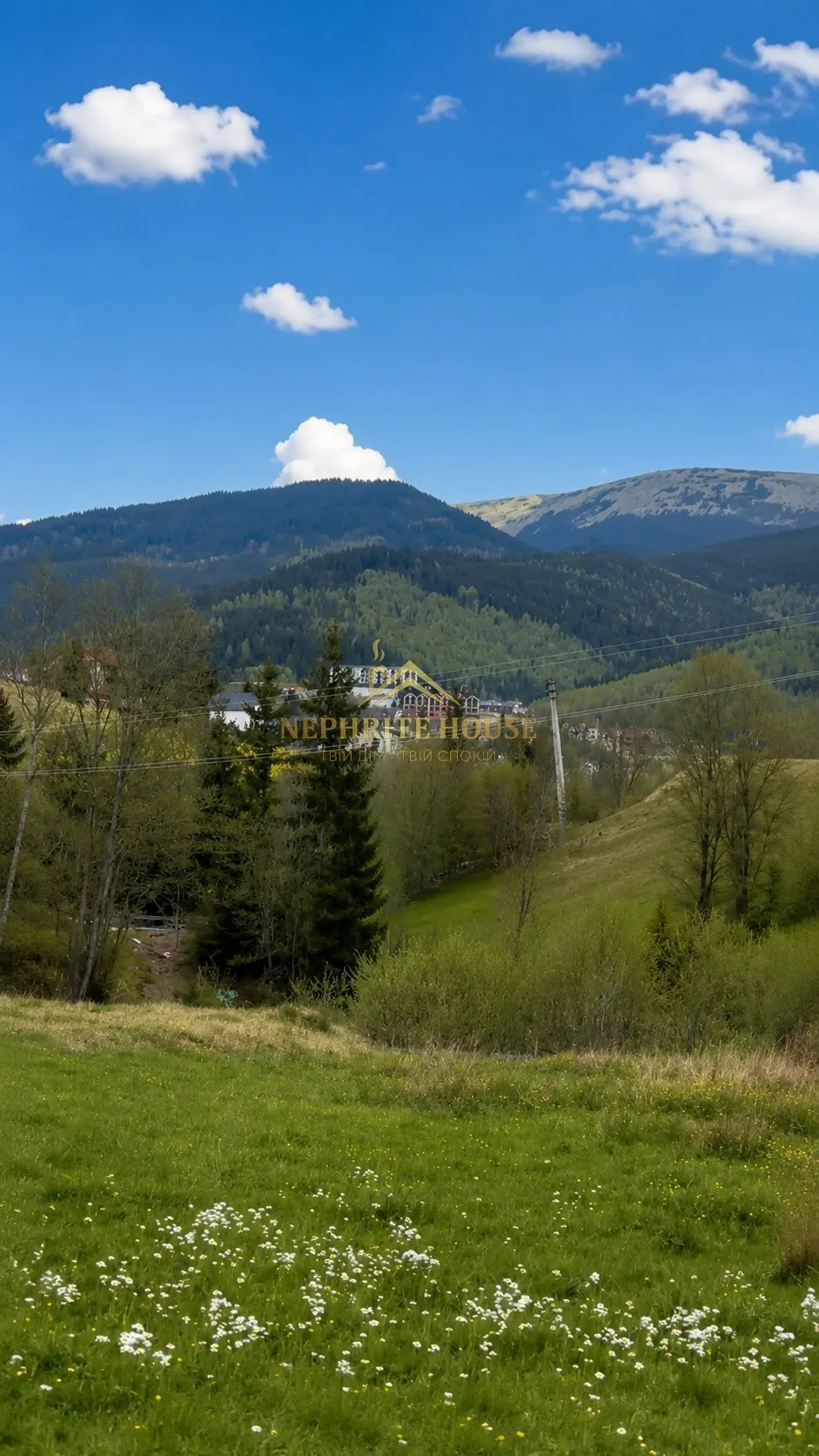 Мініатюра 6