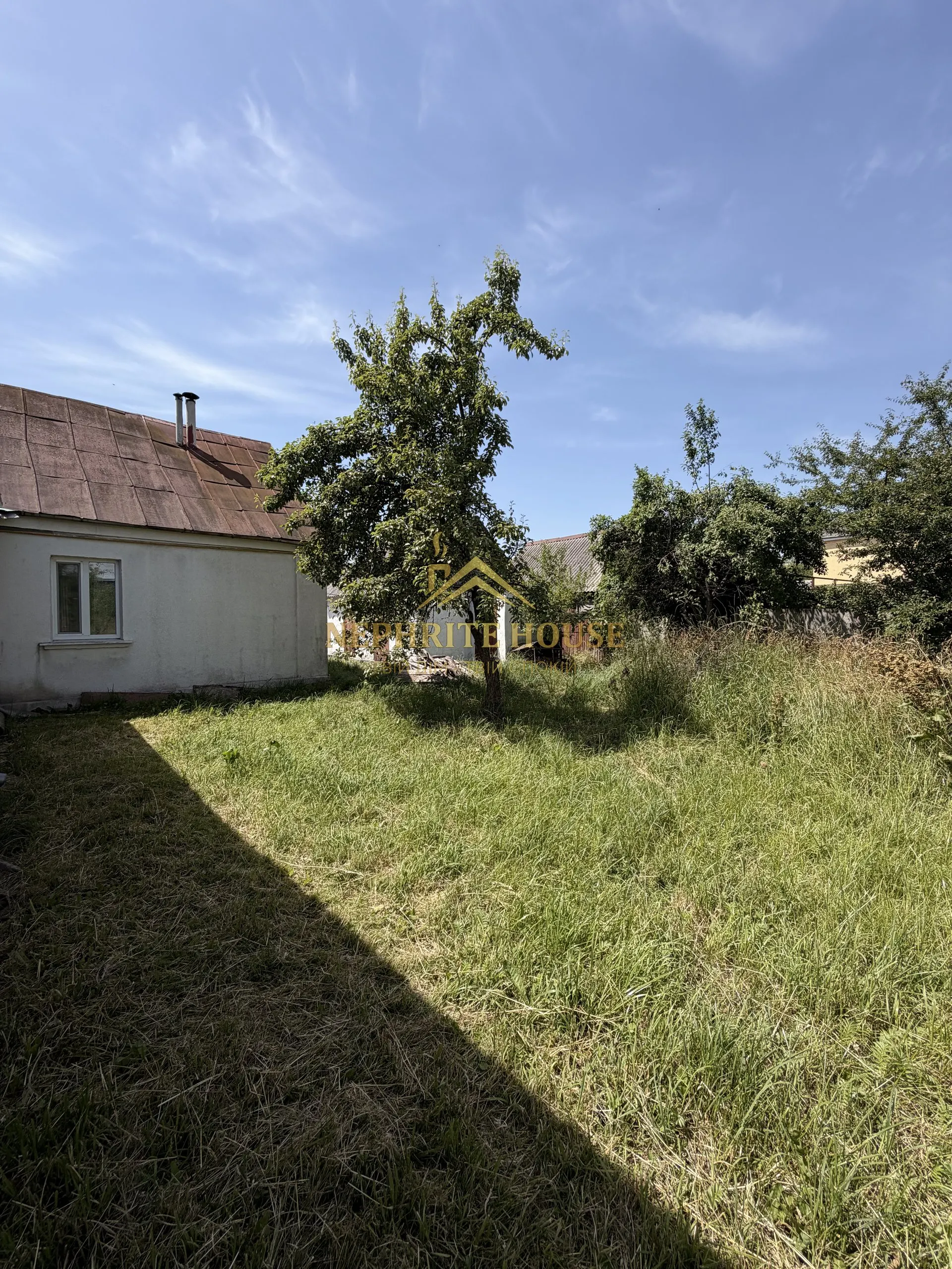 Мініатюра 12
