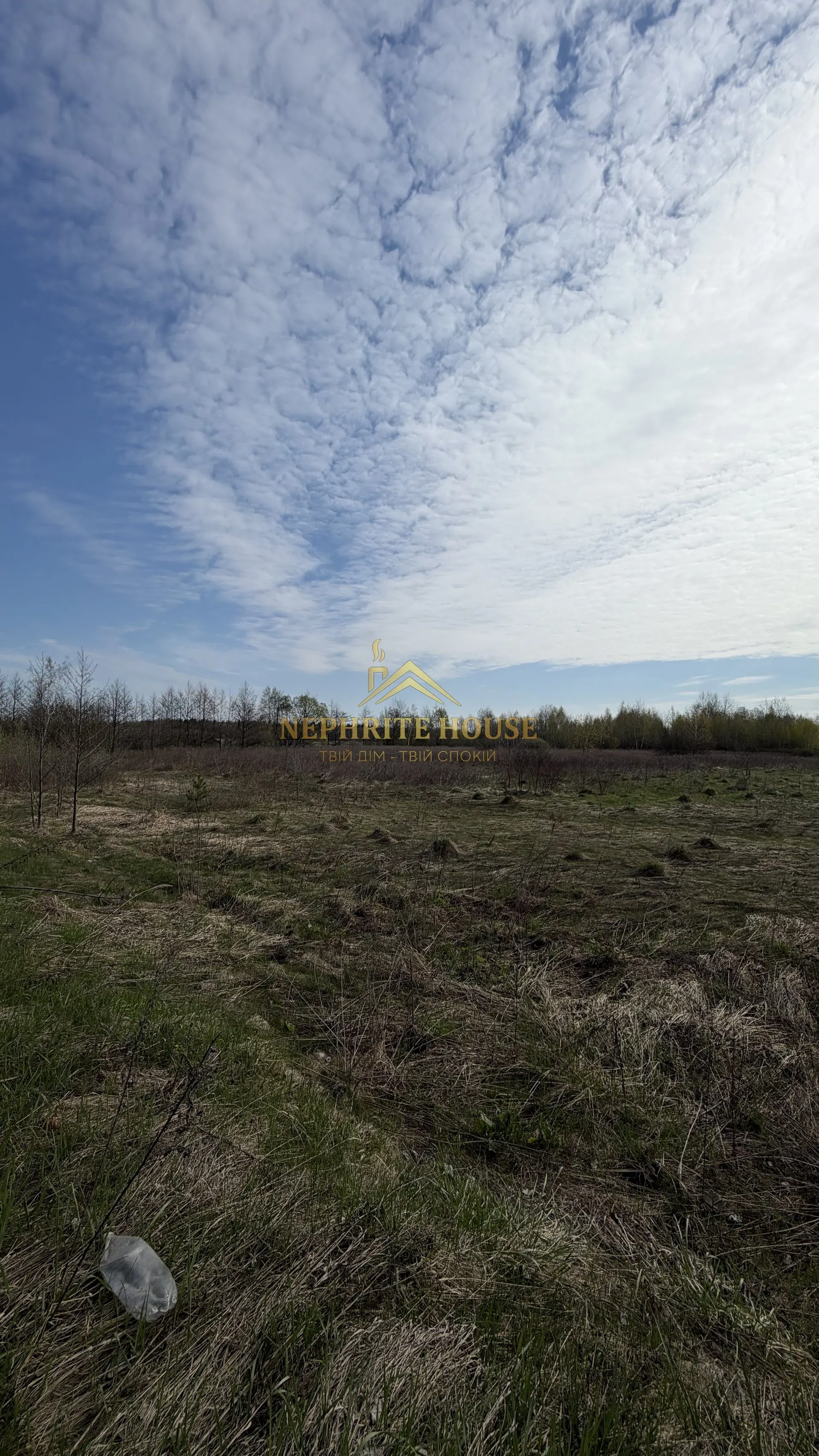Мініатюра 7